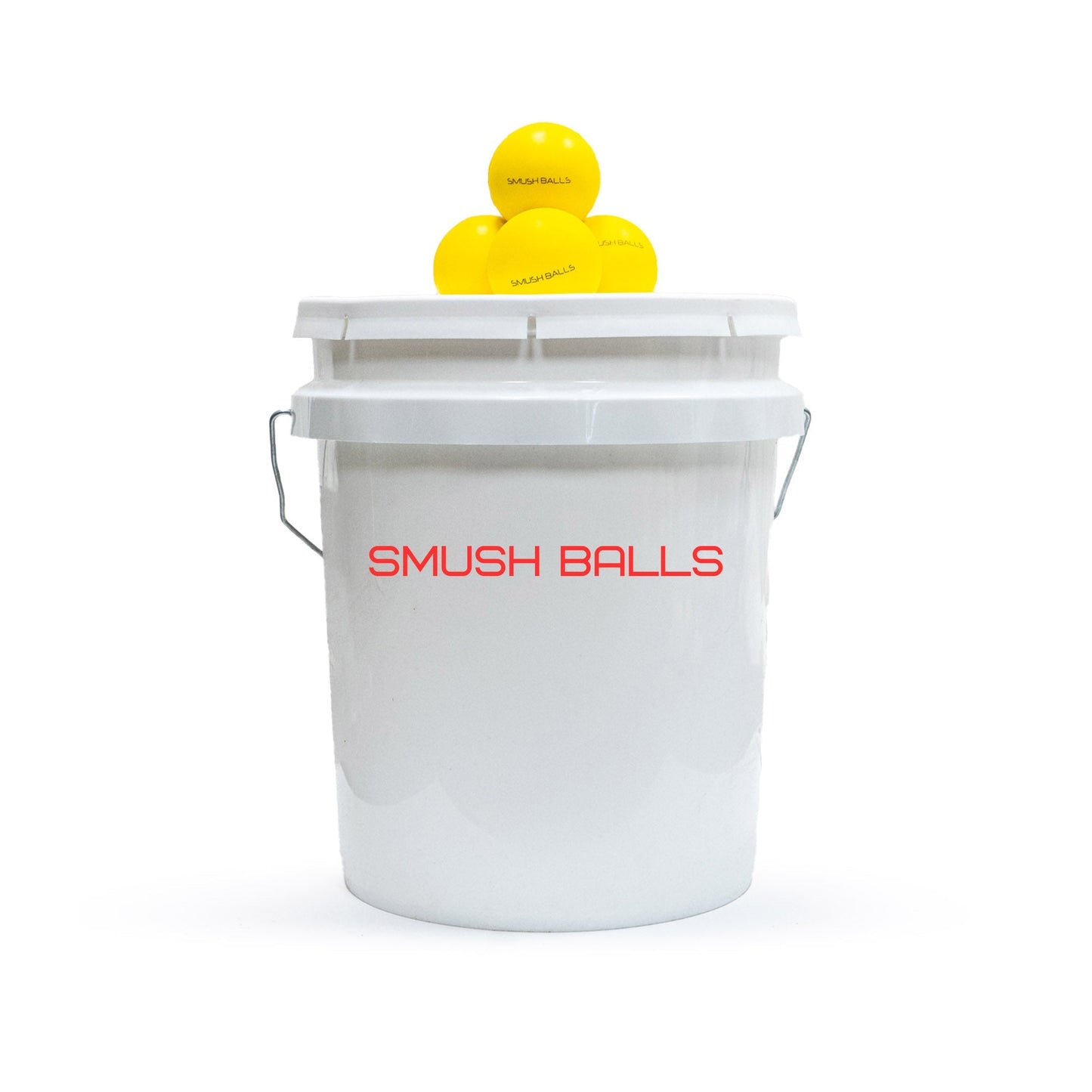 Pro 3 x 3 Rebounder + SMUSHBALLS Fielding Training Package